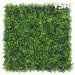 6 Inch X Artificial Hedge Panels Sample Piece Milan