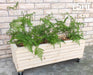 Versatile Rolling Planter For Indoor Outdoor Home And Commercial Use 18’’X48’’X16’’ & Garden